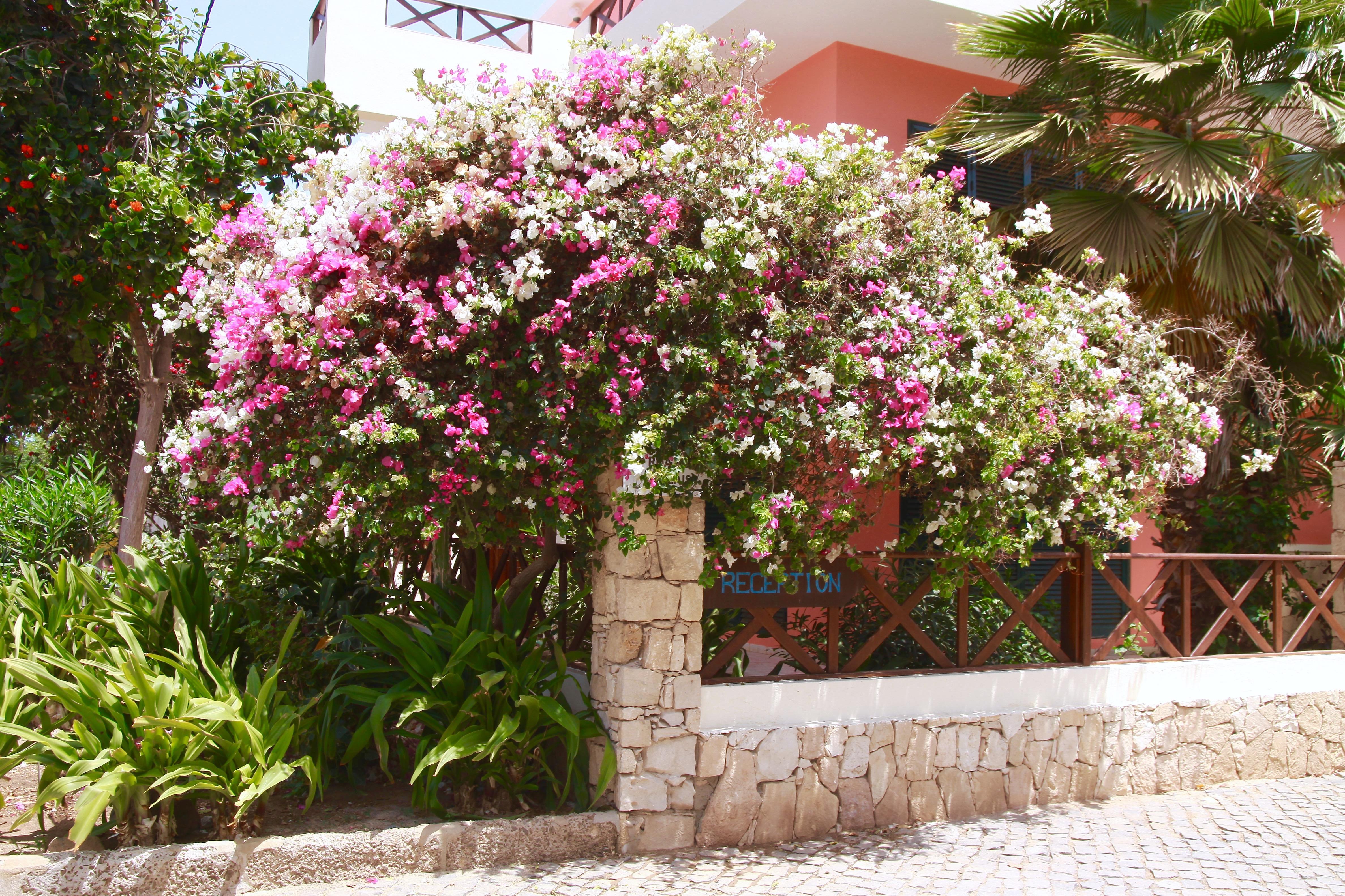 Aparthotel Ponta Preta Santa Maria Luaran gambar